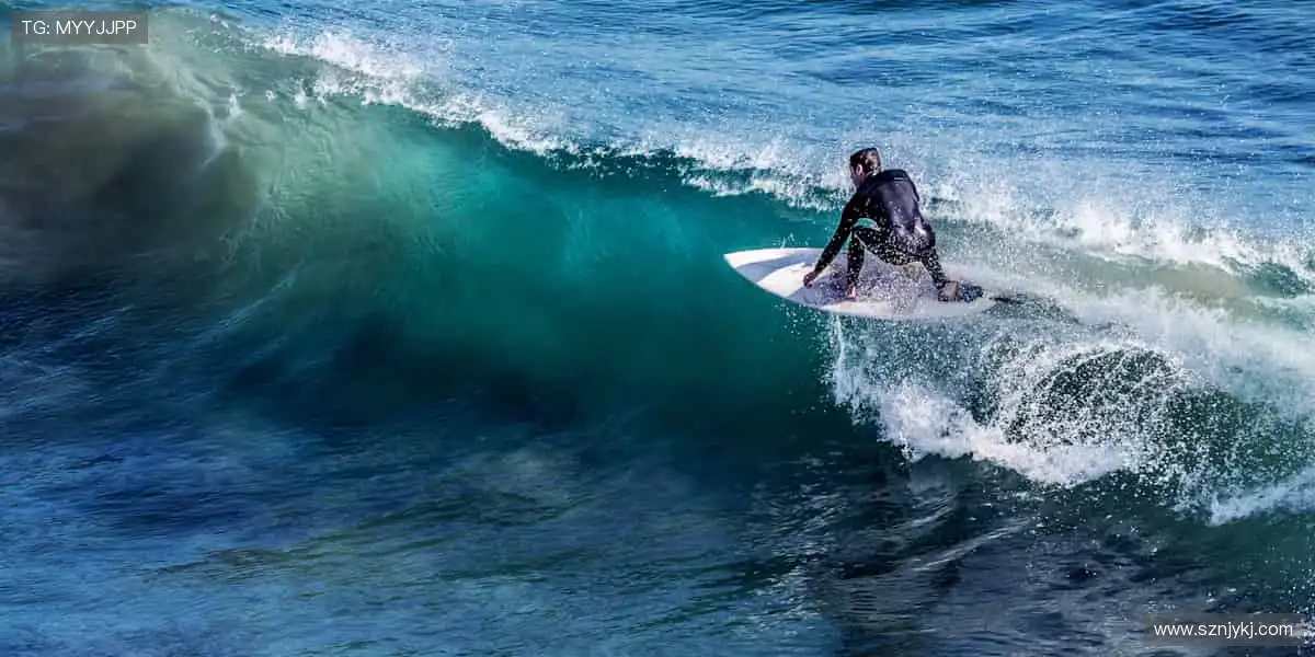 代码是我们的画笔,世界由我们亲手创造!🖌️🌍